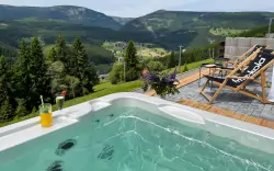 Wellness, schronisko górskie i hotel Bílá Labut'***