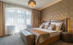 Pokój Deluxe Deluxe, Hotel Sen ****, Senohraby