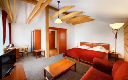 Pokój typu deluxe, Golf & Ski Resort Ostravice *****, Beskidy