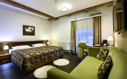 Pokój, Hotel Chateau Orlice ****, Góry Orlickie