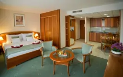 Pokój standardowy, Hotel Palace ****, Hévíz