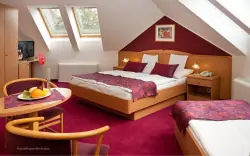 Pokój standardowy, Hotel Kálvária ****, Györ, Węgry
