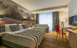 Pokój Standard Plus Hotel, Szczawnica Park Resort *****