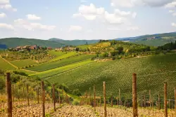 Region winiarski Chianti