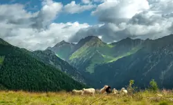 Gitschberg Jochtal, Włochy