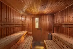Sauna, hotel Spa Savoy ****, Františkovy Lázně