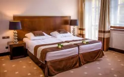Pokój Standard, Hotel Spa Medical Dwór Elizy, Polska