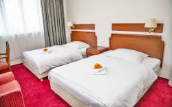 Hotel S-centrum Děčín **** ze śniadaniem/obiadokolacją, relaksem w saunie i biletami wstępu do zamku i zoo 