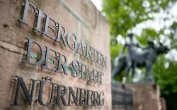 Tiergarten Nürnberg, Norymberga, Niemcy