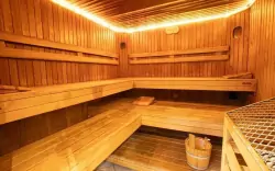 Sauna, Das Reinisch Hotel, Schwechat, Austria