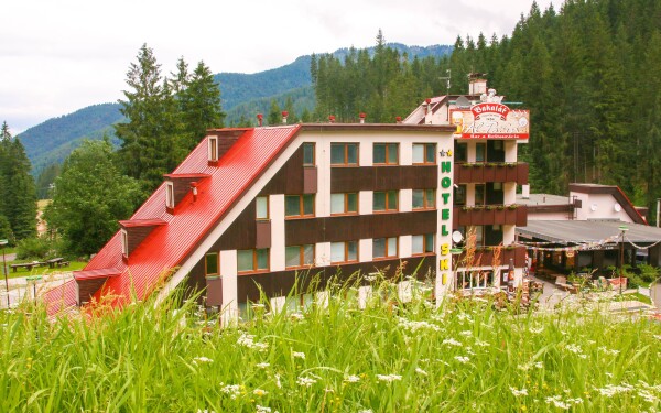 Hotel Ski