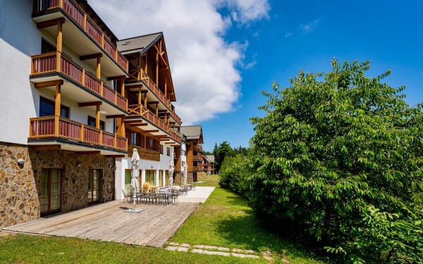 Forest Hotel Videc ***