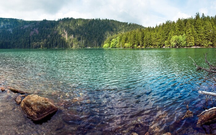 Šumava nad Czarnym i Diabelskim Jeziorem w Apartamencie Belvederská dla maksymalnie 4 osób + butelka wina