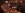 Piwnica z winami, Romantisches Hotel Menzhausen ****, Niemcy