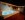 Wellness, Hotel Strachan Family Jasná, Liptowski Mikulasz