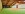 Sport, Vital- und Wellnesshotel Albblick ****, Niemcy