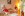 Wellness, sauna, Hotel Renospond