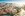 Praga