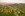 Beskidy