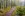 Sumava