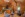 Wellness, Robenstein Aktivhotel & SPA ****, Zwiesel