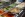 Restauracja, Portobello Wellness &amp; Yacht Hotel ****