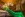 Wellness, Allure Healthy Hotel & Spa ****, Eger, Węgry