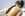 Wellness, Wellness Hotel Borovica ****, Tatry Wysokie