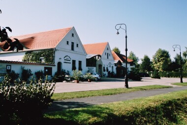 Hegykő: Hotel Tornácos ***+ zaledwie 150 m od spa z pełnym wyżywieniem lub obiadokolacją, wellness i procedury
