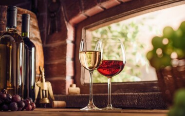 Morawy Południowe: Pobyt w Šatov w Laurent Šatov z obiadokolacją, odkrytym basenem i degustacją wina