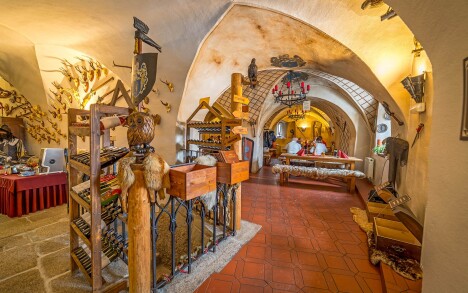 Restauracja Hodovna, Pensjonat Hrad Vildštejn