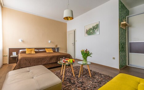Pokój dwuosobowy typu de luxe, Hotel Peregrin ***, Czeski Krumlow