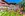 Budynek hotelowy z kwiatami, Ferienhotel Alber ***, Mallnitz, Alpy, Austria