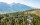 Przejdź się w koronach drzew