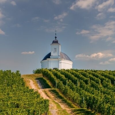 Tokaj