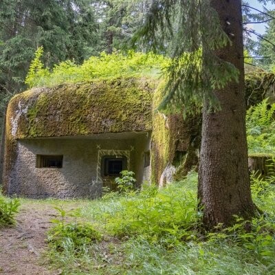 Rokytnice w Orlických górach