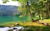 Sumava