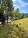 Okolica, Horská roubenka a hotel Bílá labuť ***, Karkonosze