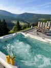 Wellness, schronisko górskie i hotel Bílá Labut'***