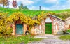 Wino, winnice, Morawy Południowe
