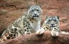 ZOO Pilzno