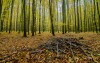 Křivoklátsko to piękna okolica