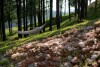 Okolice, Hotel Harnas ***, Bukowina Tatrzańska, Tatry Polskie