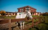 Koń przy budynku, K-Triumf Resort ****, Velichovky, Czechy