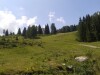 Górska łąka, Alpenhotel Marcius ***, Nassfeld, Austria