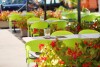Taras, Hotel BENI ***, Vrsi, Chorwacja