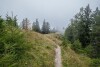 Leśna ścieżka, miaflor Familien- & Aktivresort ****, Ried im Oberinntal, Austria