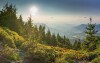 Beskidy