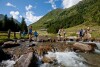 Niskie Taury, Austria