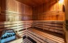 Drewniana sauna, Górska chata Orlík ***, Pec pod Śnieżką, Karkonosze, Czechy